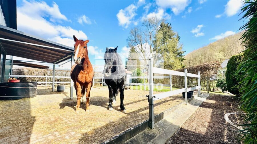 Wohnensemble mit Platz für Visionen: Saniertes Fachwerkhaus / Scheune + Halle mit Paddock - Gebäude 2 Paddock